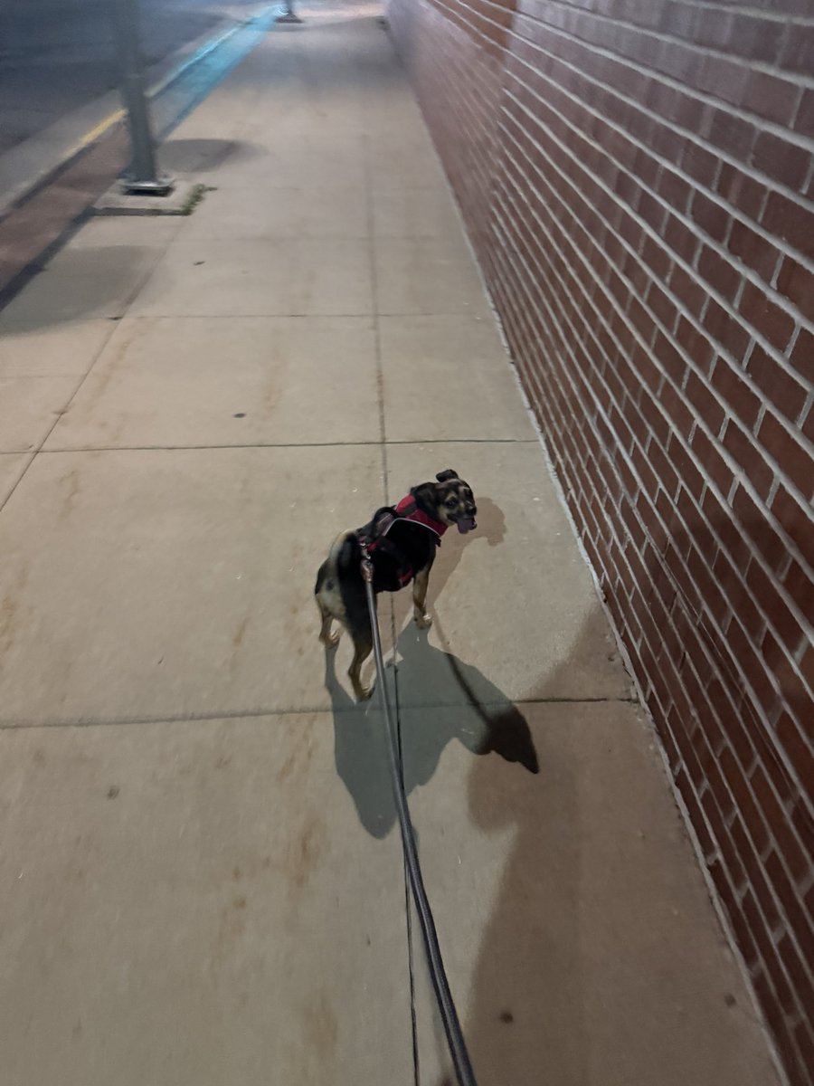 djv2023's tweet image. Beautiful night for a stroll
