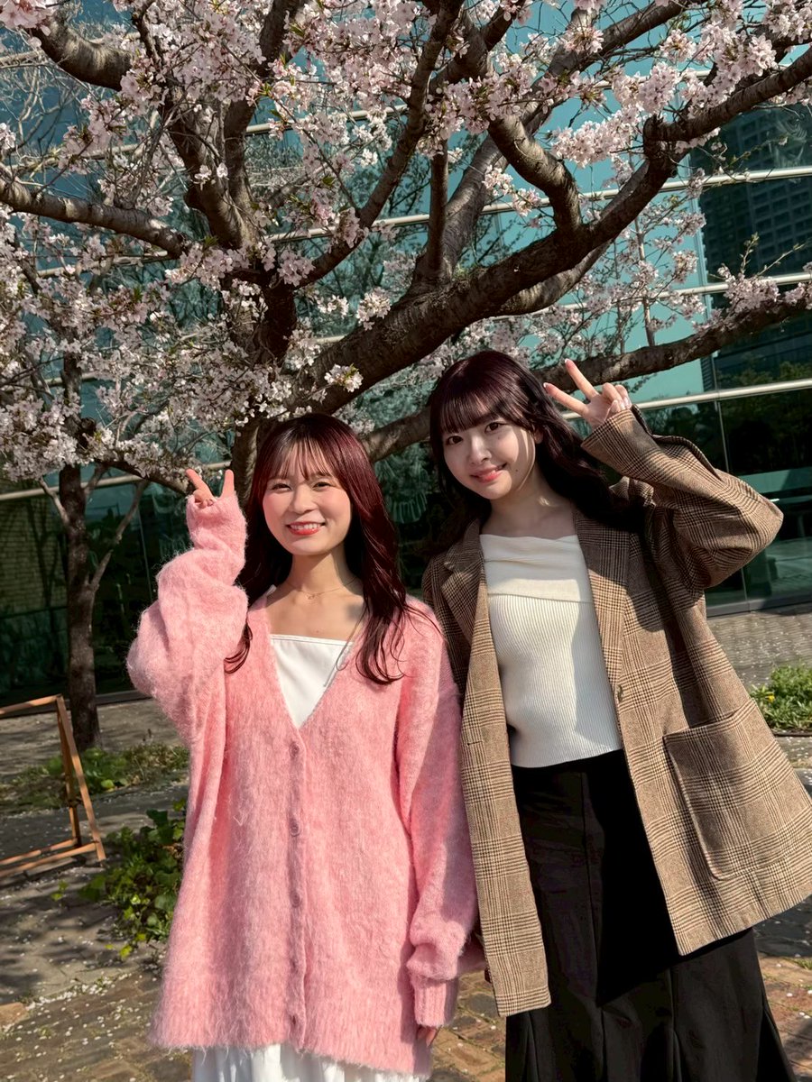 DigStation7's tweet photo. 【みんなに『今日』の放送時間をお知らせ！】

  ˗ˏˋ　今日の「ディグステーション」は！　ˎˊ˗
╭━━━━━━━━━━━━━━━━━━━╮
　　  📢 7/18（金） 21：54から放送！
╰━━━━━━━━━ｖ━━━━━━━━━╯

￣￣￣￣￣￣￣￣￣￣￣￣￣￣￣￣￣￣￣￣￣￣
　  　　📌放送するショートドラマは
　     ‣‣‣  『お姉ちゃん』前編　‣‣‣

         　 　ドジな妹と頼れる姉の物語。 
同じく妹をもつ友人に、妹のことを愚痴る姉だったが、
　　　妹の友人までが自分に甘えてきはじめ、
　　　　　我慢の限界を迎えてしまい...

￣￣￣￣￣￣￣￣￣￣￣￣￣￣￣￣￣￣￣￣￣￣

 🔍ディグステーションの公式LINEも始動！
　　  ぜひお友達になって欲しいモグ～！
　　　　　　　　　　⇩
　　登録はコチラ！🫱 https://t.co/yYEHPCjqRG