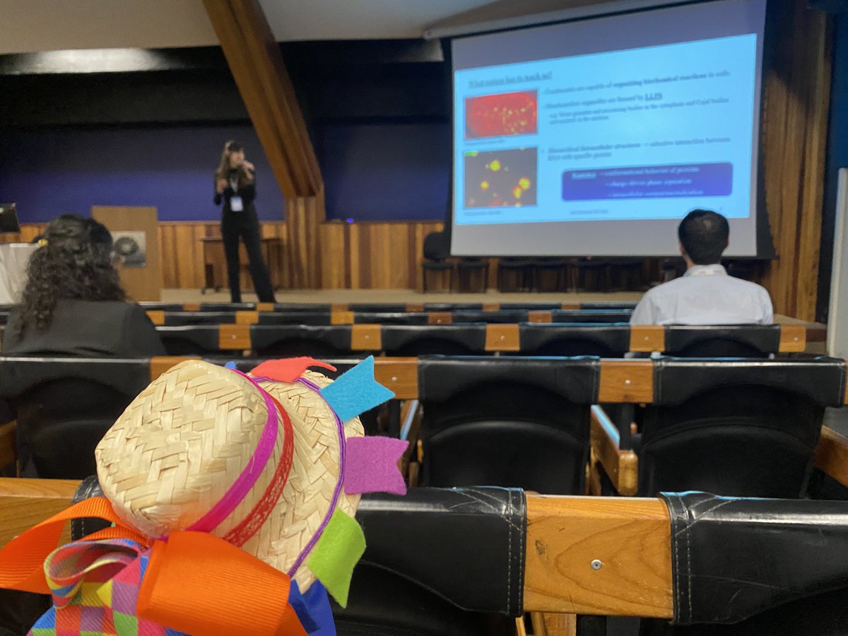 Arvind, Júlia, and Jussara all gave fantastic talks on their work involving coacervates at the International Symposium on Polyelectrolytes! #LlabLlama approves!