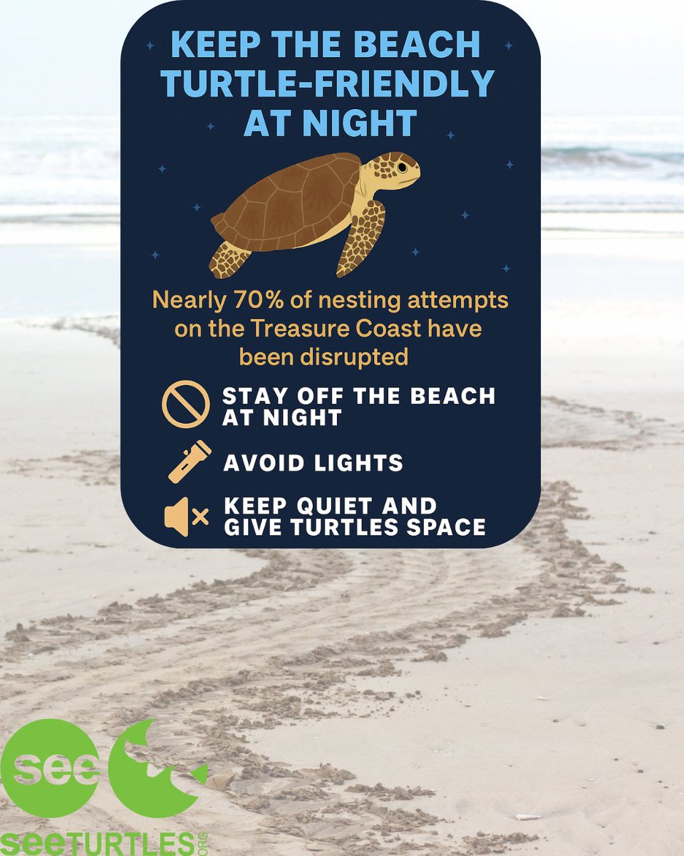 SEEturtles's tweet image. read the article: tinyurl.com/4mb32w2s
#SeaTurtleSeason #TurtleSafeBeaches #TreasureCoast #LightsOutForTurtles #TooRareToScare