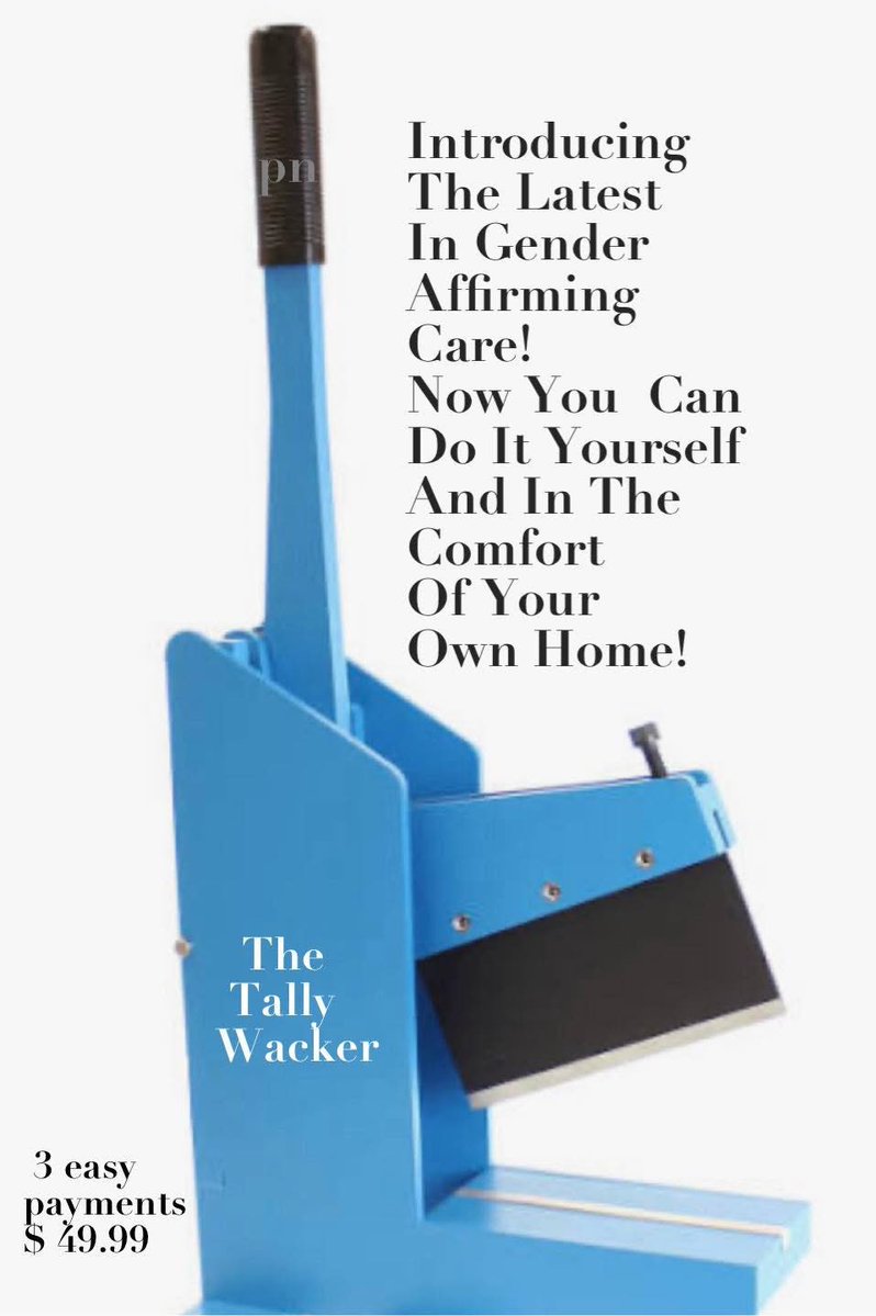 DomMorganFL's tweet image. True. If you’re thinking about it, just do it! 🏳️‍🌈