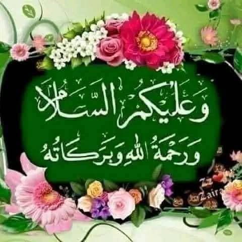 الورشجى حمادة منصور tweet media