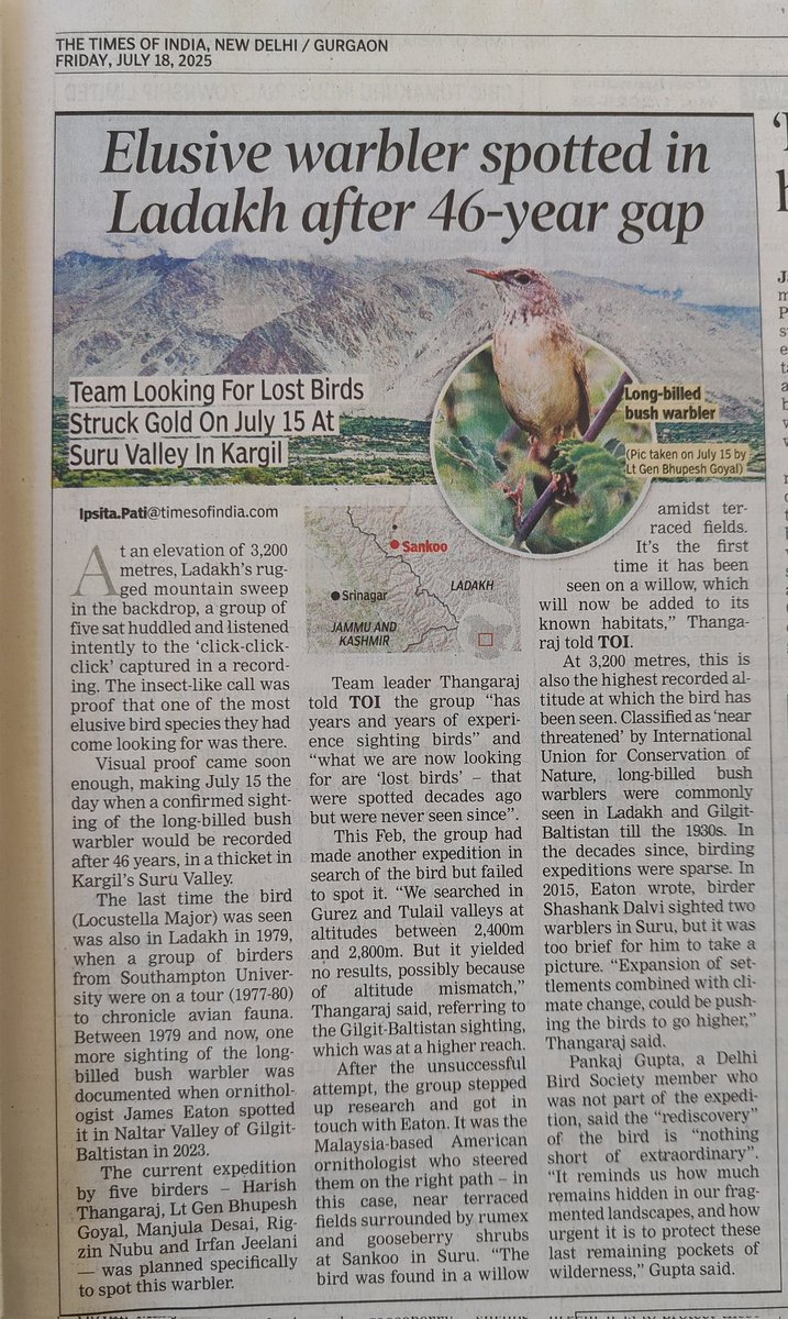 IpsitaTOI's tweet image. Elusive warbler spotted in Ladakh, its first official sighting in 46 years. Team Looking For Lost Birds Struck Gold On July 15 At Suru Valley In Kargil @Team_eBird
@SoIB_India @prernabindra
@BirdtourAsia
Read the full story here
timesofindia.indiatimes.com/city/gurgaon/e…
