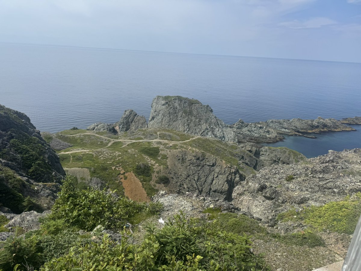 LeighGi66657535's tweet image. We did some amazing hiking this week with our extended family. First hiking post surgery and had no issues finally.🙂
The wild harebells cling to the cliffs out here, and I just adore them for their tenacity.🙂