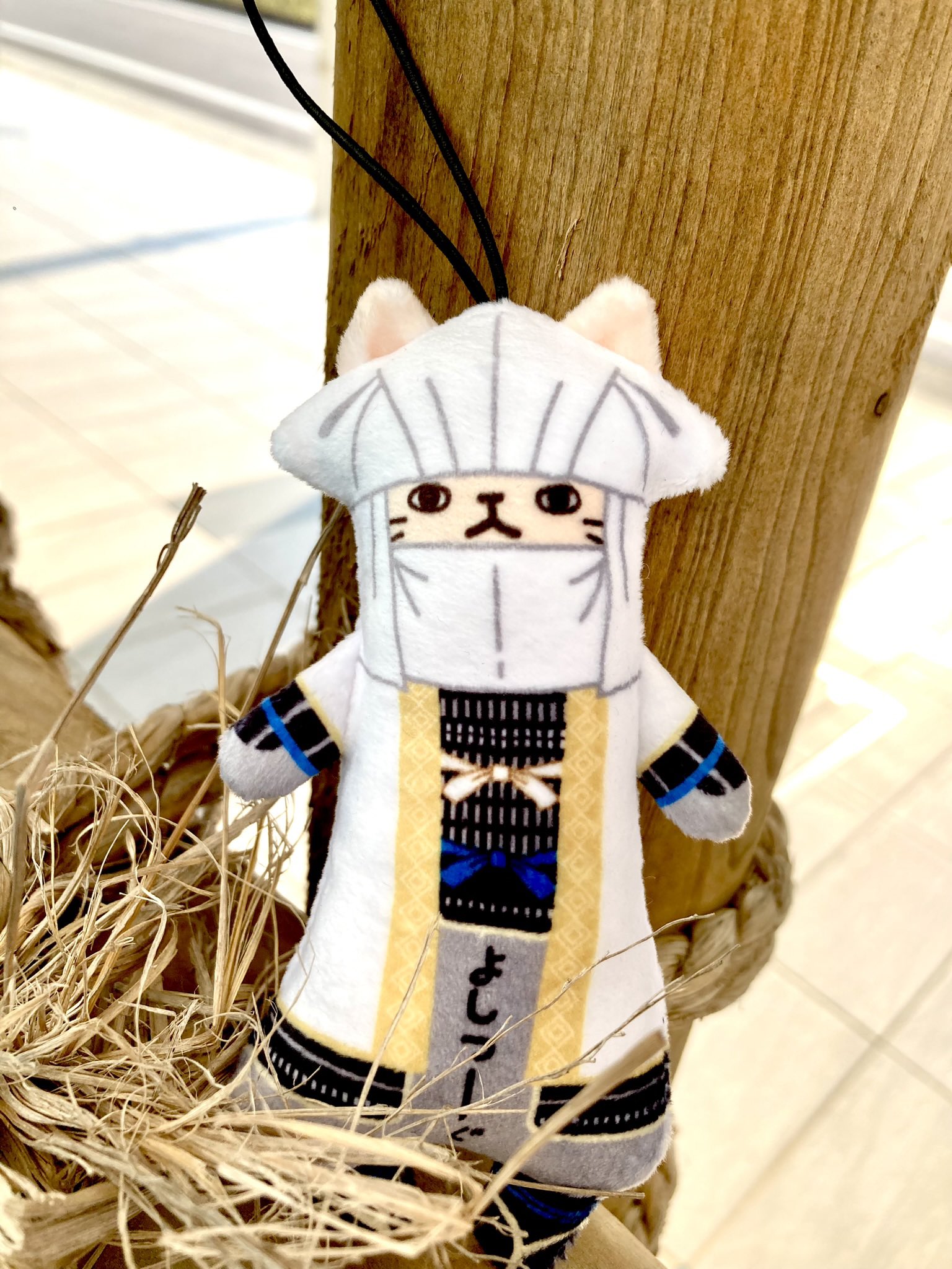 ⭐︎あややページ⭐︎のびねこ15種 のびシリーズ | 野澤作蔵商店 nozawasakuzo_shoten