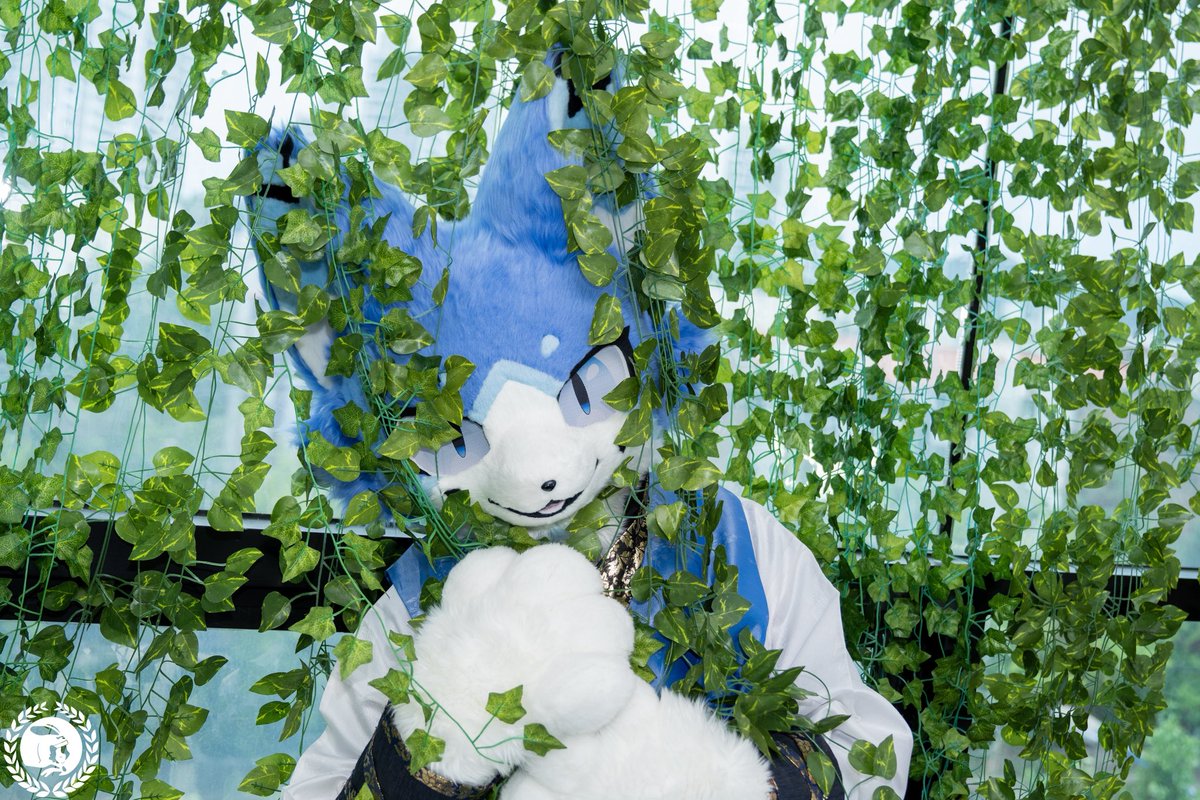 #FursuitFriday

히히 안보이죠?