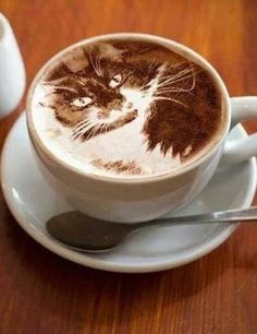 here you are <a href="/TinyPearlCat/">@Tiny Angel Pearl</a> a coffee to get you going #nipclub