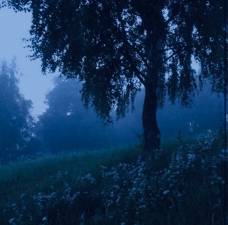 Tired_Witches's tweet image. New pinned! 🤍 He/She/they
Moot me if you like: #theoutsiders #pjo #ghibli #jjk #mha #sehinton #80sfilms :3
Proshippers/Racist//bigots/radfems/terfs/misogynists/misandrists DNI!!!
♡ / ↻ to be moots !!