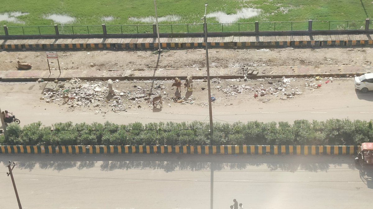 sksaxenagsfl's tweet image. Pl see the position in front of ivy county sector 75 Noida. We are forced to live in front of an illegal garbage dump. This situation is there for the last one year. Regret no concrete action is taken by the Authority, but ironically they are getting the cleanest city award. How?
