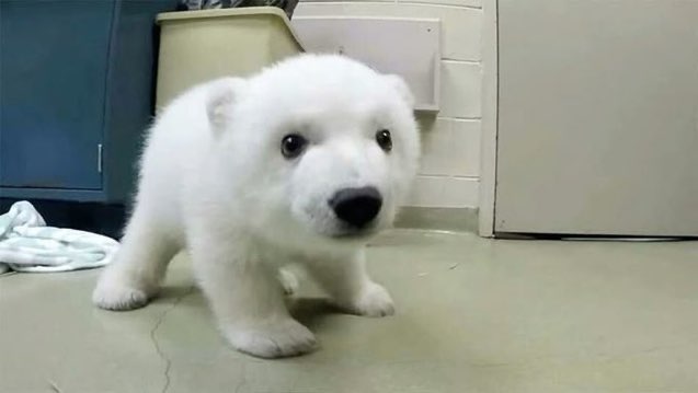 7HmeansDOG's tweet image. 제가 장염에걸렷어요..... 근데 좀 심하네요....
그래서 아마다음주에 올릴거같아요...///
sorryㅠㅠ
