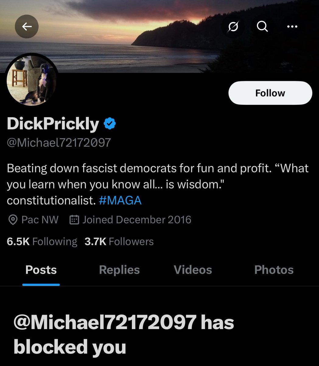 I’m noticing that these maga supporters are very sensitive and run quickly when challenged. So if you’re talking to one be careful, they scare easily.