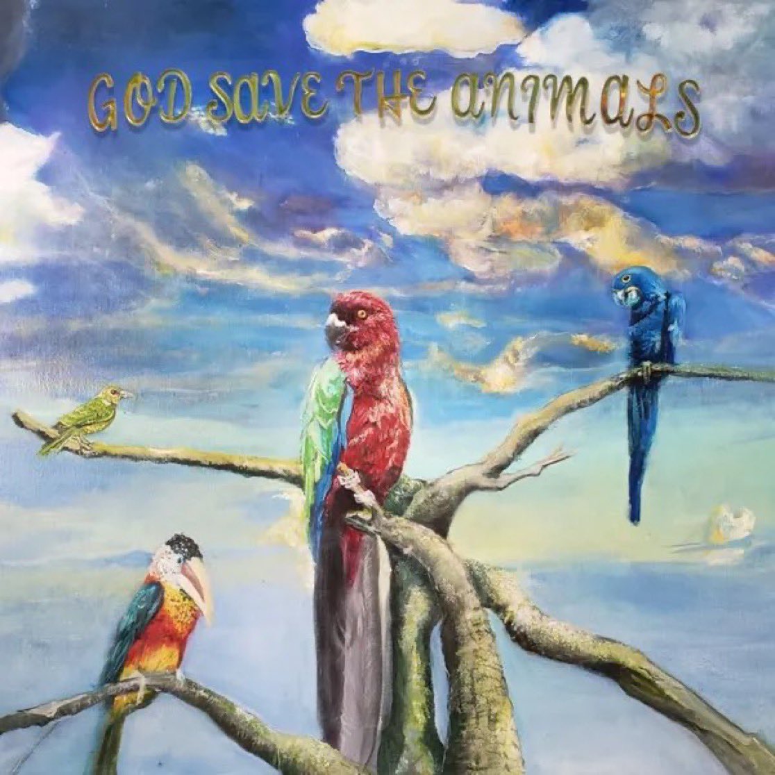 DailySandyAlexG's tweet image. Alex G song of the day - jul 17 2025 - Early Morning Waiting