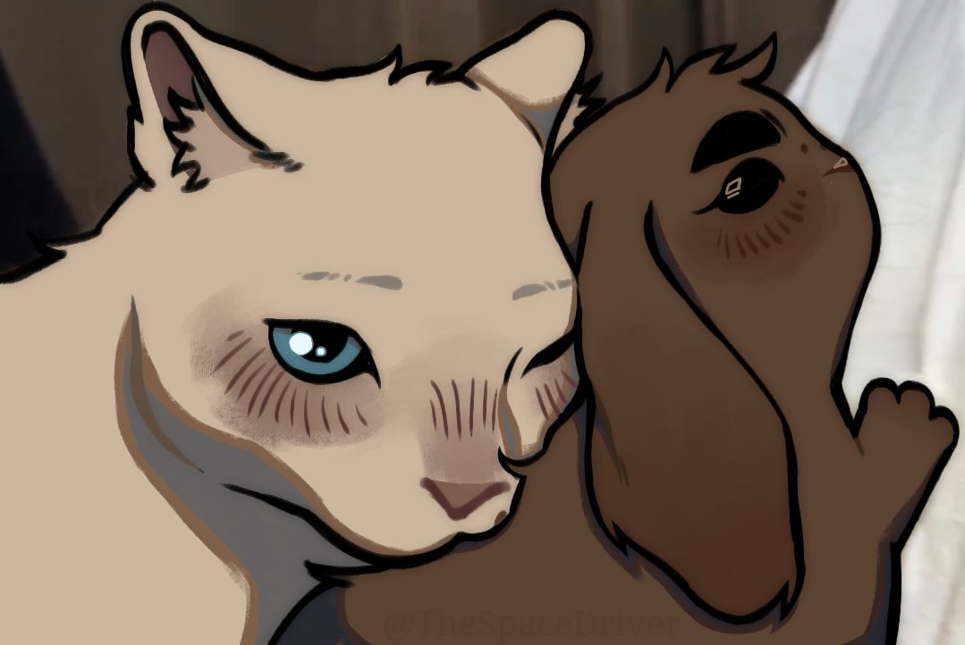 TheSpaceDriver's tweet image. Another Checonejo and Maxigato, I had complications with the color of Max's eyes, but I hope you like how they look and enjoy the drawing.