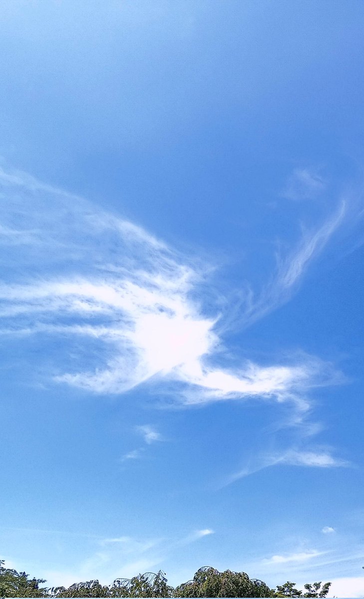 病やいのち、根暗な投稿ばかりかんべんナ。
１０日間の天気予報、気温が凄いよ。引きこもるのが得策と、まずは食料をまとめ買いに外出。菊池雄星さんのマンホールを訪ねて仙台からのご夫婦に
道を訪ねられちょっと良い気分。それにしても電気代の請求が恐ろしや。