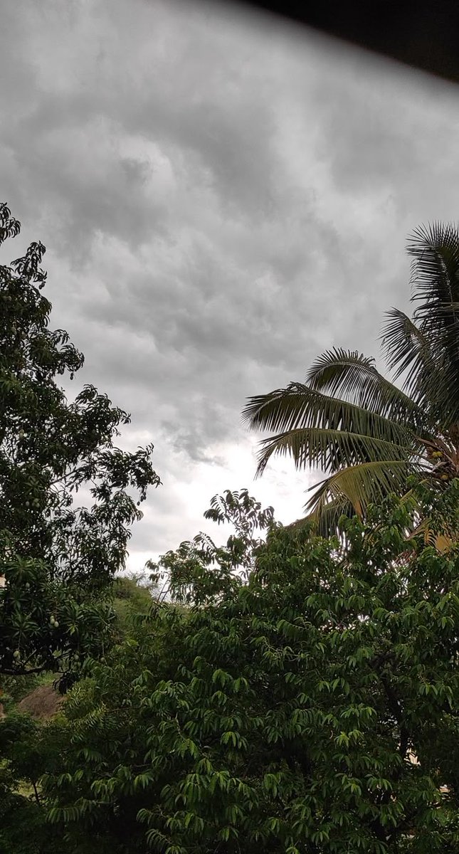 In love w this weather 🌧️
