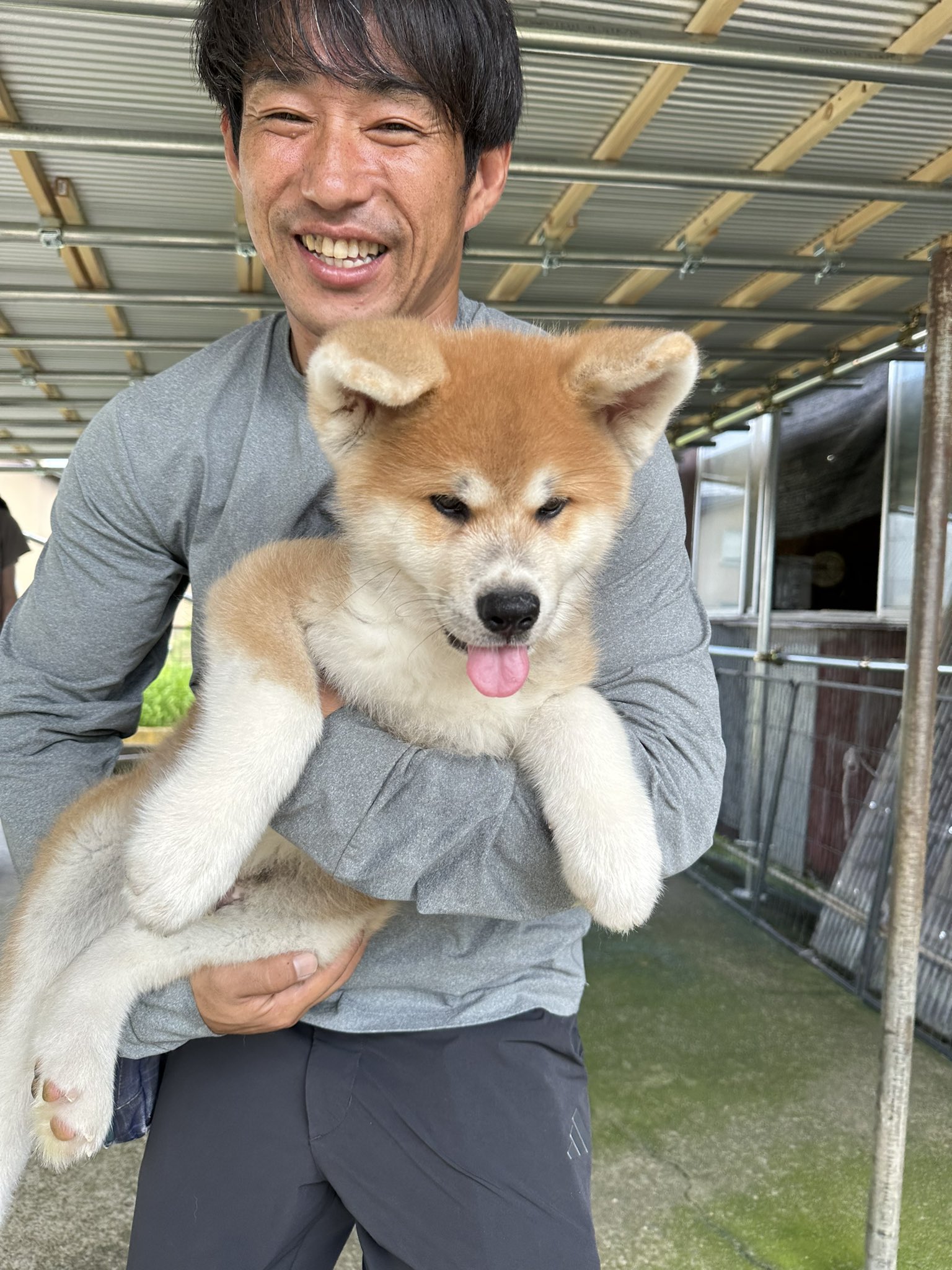 つかいふるしのいぬ akita_clf さんがお知らせしてくれた渋谷のサクラステージの