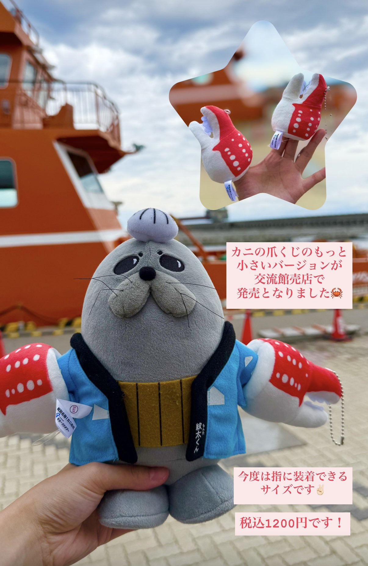 くじら🐳 (@_kujirawhale_) / X