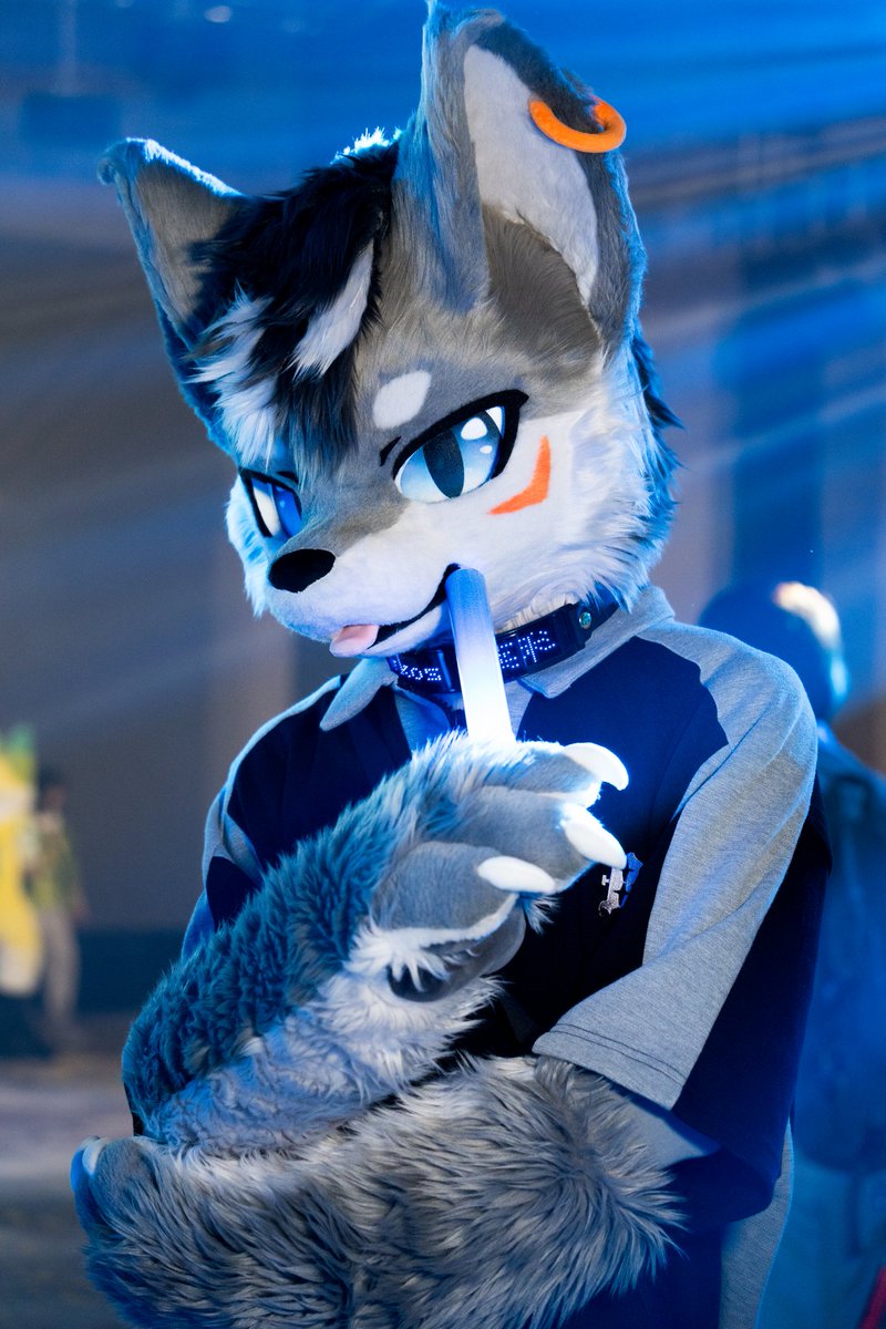 LYKOS_42's tweet image. #FursuitFriday

“可以看着我耍一下帅嘛”

📷：@无极