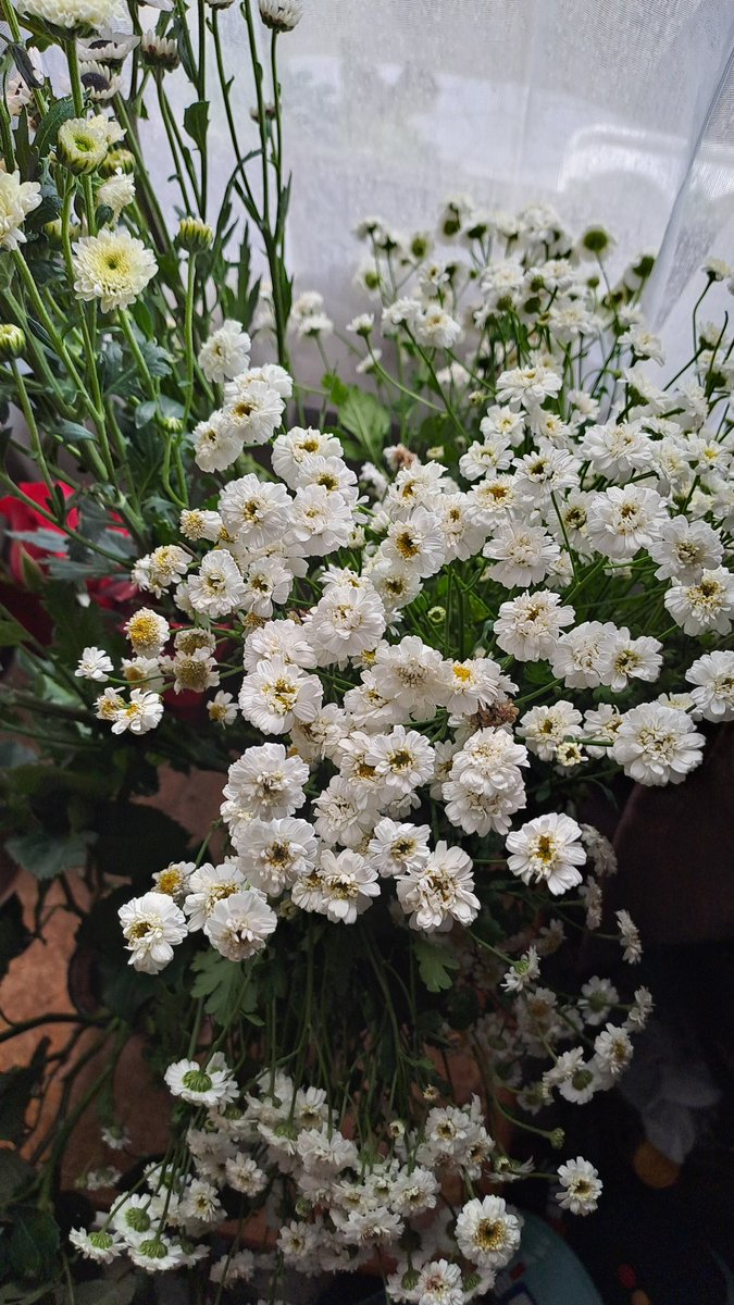 ndah 👩🌾🌹🌻 tweet media