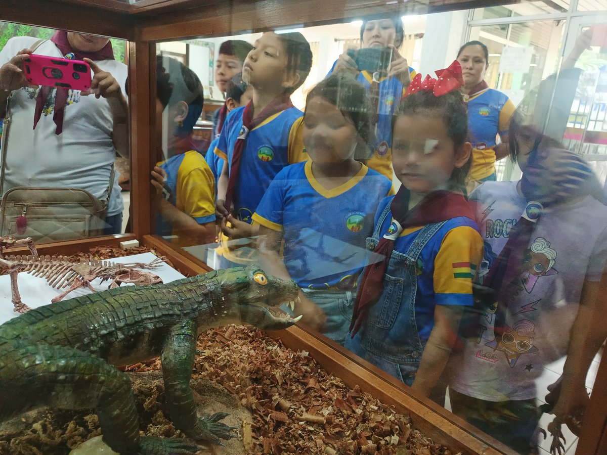 MuseoNKM's tweet photo. Hemos recibido la grata visita del Club de Aventureros Elohim, quienes se mostraron con mucho entusiasmo por aprender sobre plantas, animales invertebrados, animales vertebrados y fósiles.

¡Son siempre bienvenidos al Museo NKM, el cual contribuye a la investigación científica. https://t.co/ndtf8kyZ6c