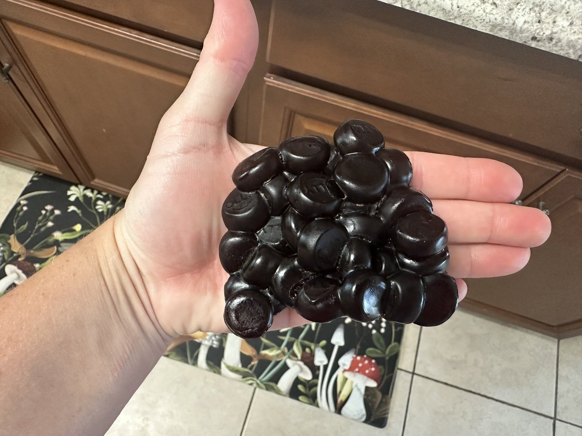 🪼meredith🪼 tweet media