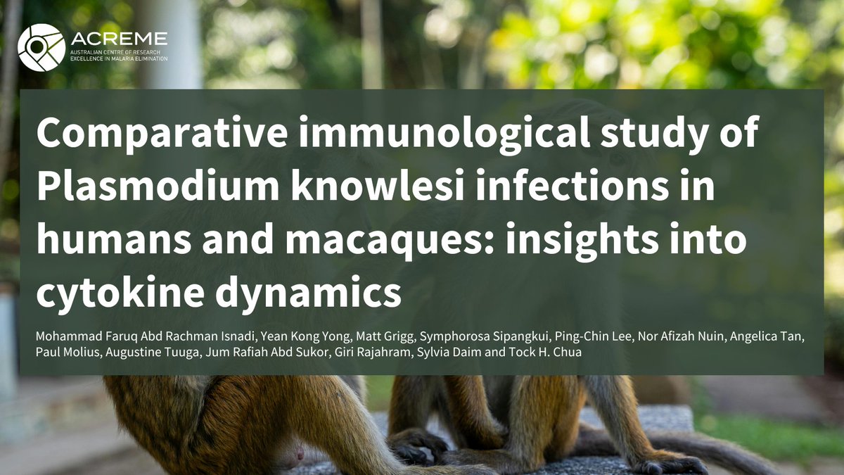 P. knowlesi is transmitted from macaques to humans and has seen a surge due to human encroachment into macaque habitats. A study was conducted to compare the effects of parasite gDNA and host mtDNA release on cytokine profiles infected with P. knowlesi👉 shorturl.at/67e2d