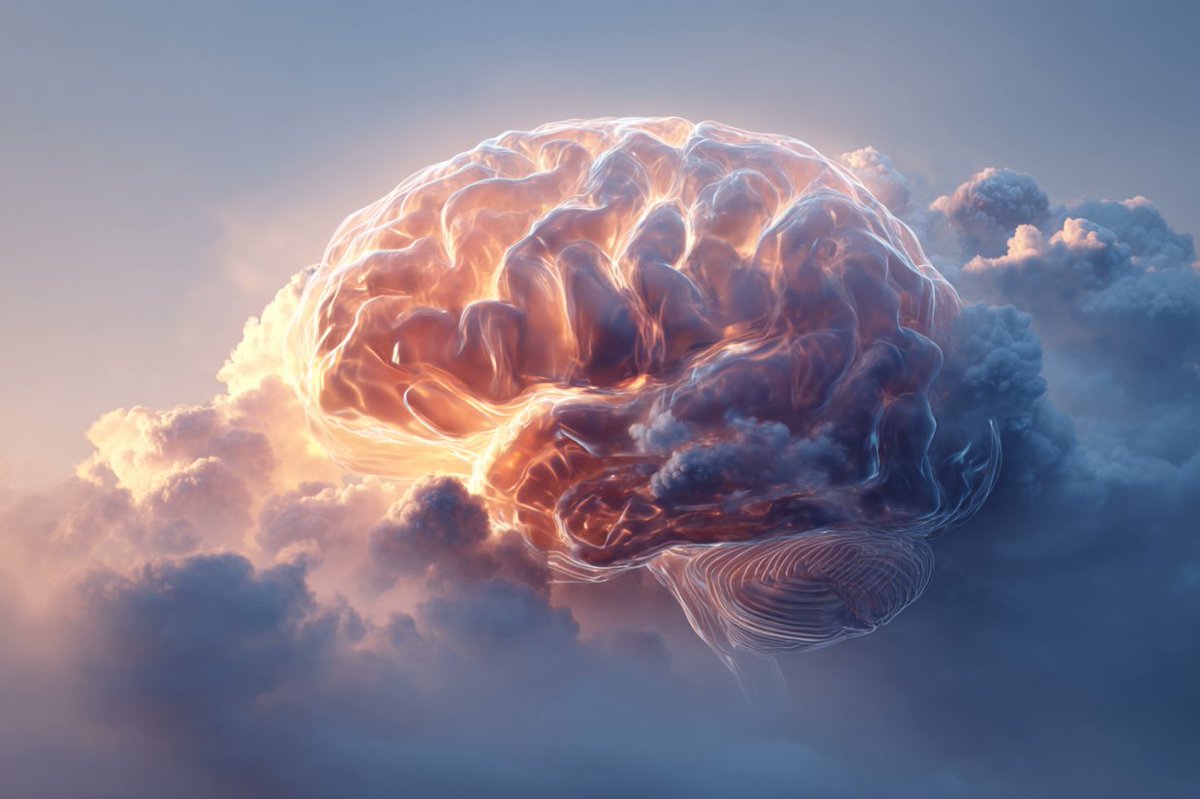 Sleep to Consciousness: How the Brain Transitions from Dreams to Reality

Waking up may feel instant, but your brain carefully orchestrates the transition. 

New research shows the process begins in the frontal regions and spreads toward the back in a predictable sequence.