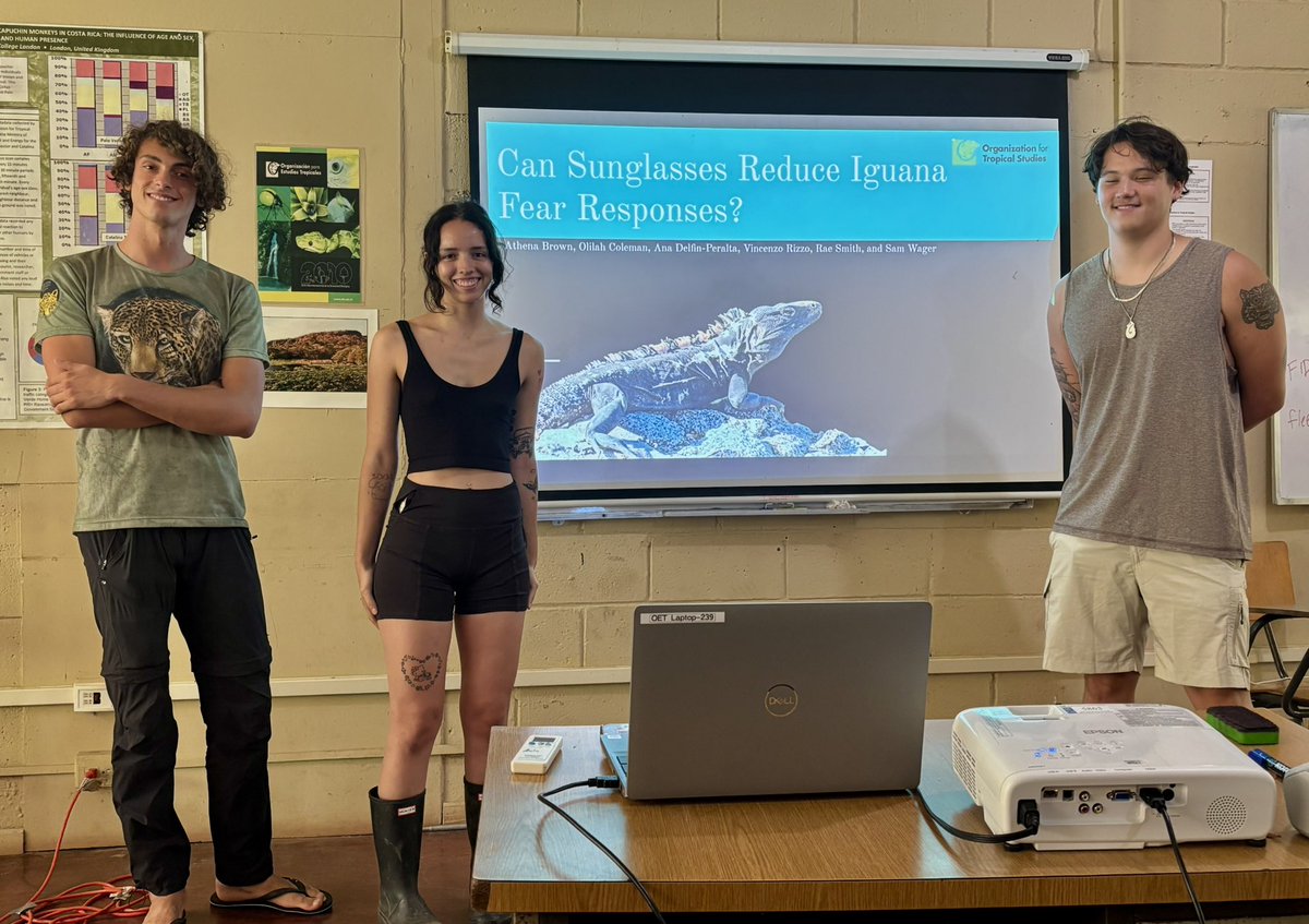 Bree Putman 🐍🦎🏘🔥 tweet media