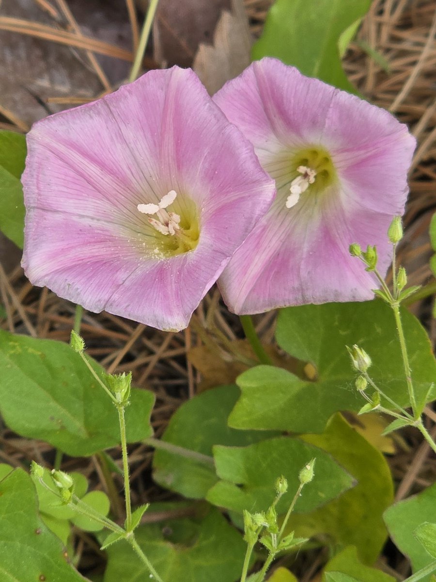 同 心 同德
동심동덕
마음을 함께하면
무엇이든 이룰 수 있다
