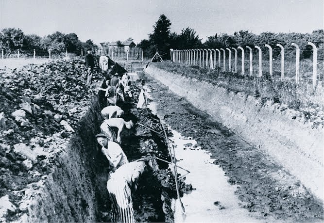 philipndpope's tweet image. Watch 👇 Marcus Roberts in Nazi 'Tunnel of Death' 100m from Norderney Camp Alderney = main ✡️ camp '43 + hundreds of French ✡️. SS staged 2 practices with 800 prisoners to simulate extermination of POWs if Allies attacked. None meant to survive. Still think only 8 ✡️ died here?