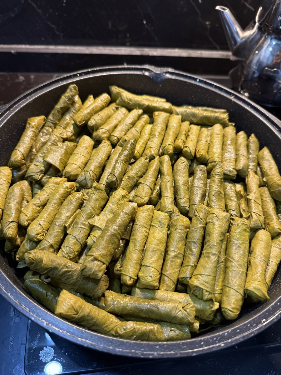 ChineseGrey's tweet photo. çok doğru ama geçen önce aylar sonra sarma sardım galiba tekrar gündemde kendisi (yaklaşık 2kg yapraktan) 🥹🥹 https://t.co/UQ24GebkAJ