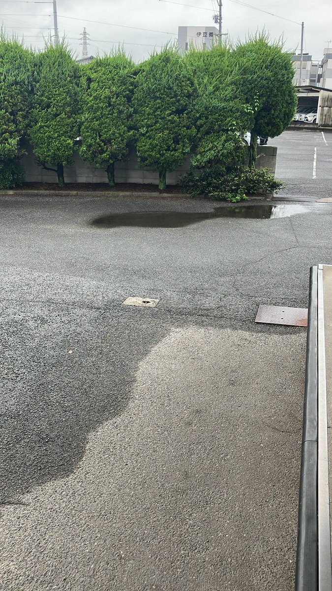 dimo_workwear's tweet photo. おはようございます！
今の気温は26℃☁️☔️最高気温は33℃☔️☀️昨日からの雨が午前中は残りそうですが、午後から夕方にかけては晴れる模様です。週末三連休ですね！！本日もよろしくお願いいたします！！ #企業公式が毎朝地元の天気を言い合う #企業公式相互フォロー https://t.co/zvjrSMI1ge