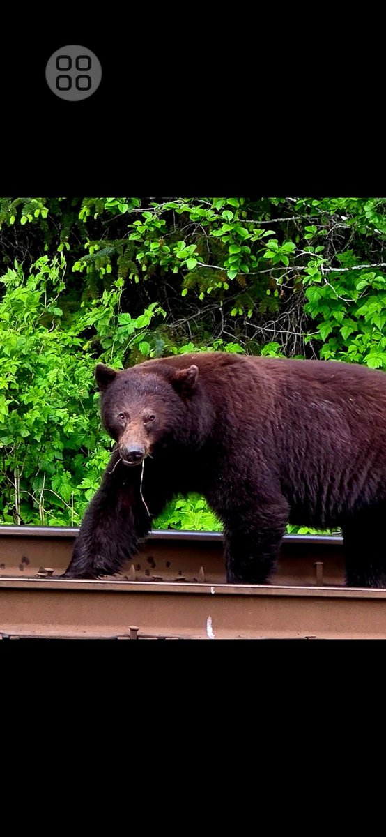 Wander often. Wonder always.
Adventure found me. I said yes.
😄