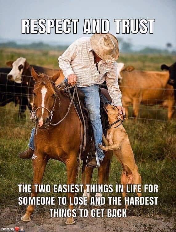 Shelly (@mcain1954) on Twitter photo Thu #BuddyChecksMatter Veterans 🇺🇲
#Turn22To0 #EndVeteranSuicide 💕💕
#PTSDWarrior #JustListen ⭐️⚓️🐝🍈✈️🪂
<a href="/Steelmaker65/">Steel Maker</a>⭐️🇺🇸
➡️<a href="/B_RapidLee/">RapidLee</a>⭐️🇺🇸
➡️<a href="/cbill2200/">coach Bill</a>⭐️🇺🇸
➡️<a href="/davesnothere74/">Dave</a>⭐️🇺🇸
➡️<a href="/Bayou1947/">Bayou_1947</a>⭐️🚁🇺🇸
➡️<a href="/paul_merrey1945/">stoneyman1</a>⭐️🇺🇸
➡️<a href="/srasberry1/">🇺🇸Steve Rasberry🇺🇸</a>⭐️🇺🇸
➡️@Captmorgan22⭐️🇺🇸
➡️<a href="/pigott24/">Chris</a>⭐️🇺🇸 Thu #BuddyChecksMatter Veterans 🇺🇲
#Turn22To0 #EndVeteranSuicide 💕💕
#PTSDWarrior #JustListen ⭐️⚓️🐝🍈✈️🪂
<a href="/Steelmaker65/">Steel Maker</a>⭐️🇺🇸
➡️<a href="/B_RapidLee/">RapidLee</a>⭐️🇺🇸
➡️<a href="/cbill2200/">coach Bill</a>⭐️🇺🇸
➡️<a href="/davesnothere74/">Dave</a>⭐️🇺🇸
➡️<a href="/Bayou1947/">Bayou_1947</a>⭐️🚁🇺🇸
➡️<a href="/paul_merrey1945/">stoneyman1</a>⭐️🇺🇸
➡️<a href="/srasberry1/">🇺🇸Steve Rasberry🇺🇸</a>⭐️🇺🇸
➡️@Captmorgan22⭐️🇺🇸
➡️<a href="/pigott24/">Chris</a>⭐️🇺🇸