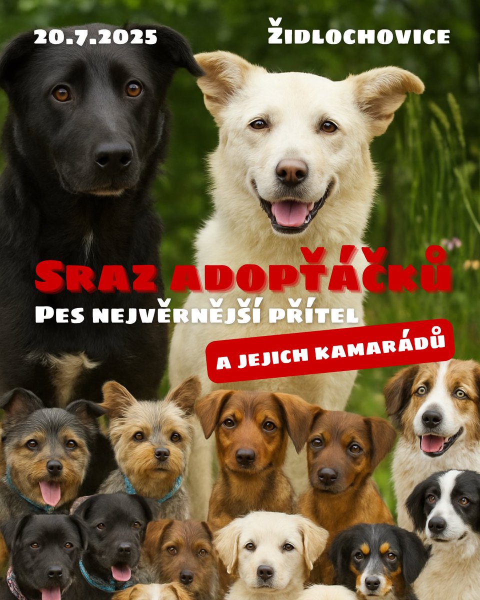 #PNPCUP #AdoptovanyPes #MoravskySrazAdoptacku #PomahamePsům #AgilityProRadost #RodinnaNedele #Zidlochovice2025