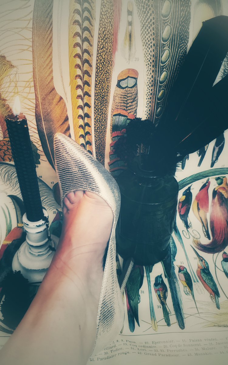 RavensSoles's tweet photo. My Loves, a sneaky peek at what's 2 come this Sat 6pm PST as "The Plumes Series" launches exclusively on my OF's page!  Remember 2 cast ur vote 2 include enclosed heels or not: https://t.co/1bXl09uARz &amp; sign-up 2 enjoy 7 days FREE on my page!~Raven x #feetfetish #toes #oddities https://t.co/J0zpbHInkX