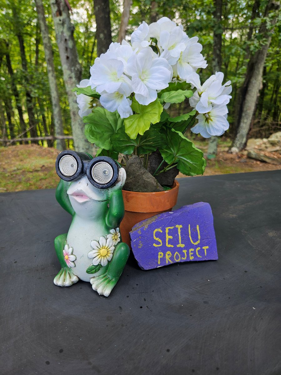 CorrectionsPA's tweet image. For the fifth straight year, members of SEIU Local 668 at SCI Dallas held a service project to beautify one of the rest areas at the facility to benefit the entire Dallas team.
This picnic area is located in the wooded area behind the administration building. Volunteers cleared…