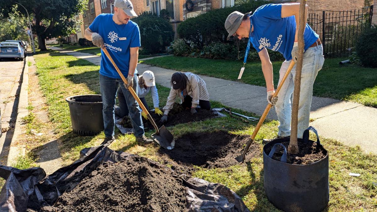 Openlands tweet media