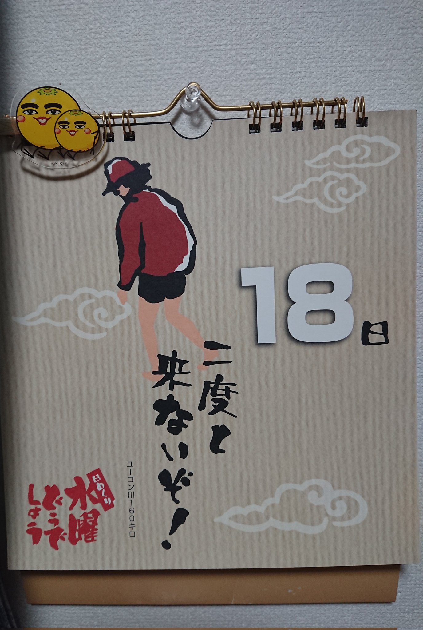 水曜どうでしょう 水曜どうでしょう 第16弾 72時間！原付東日本縦断ラリー | 古