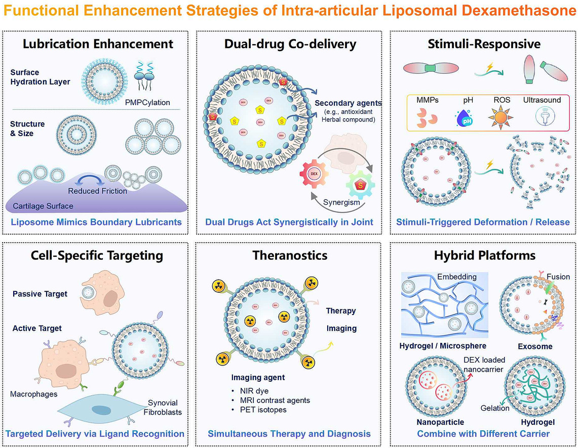 JCRnEDITORS's tweet image. Liposomal dexamethasone for intra-articular therapy: Functional strategies and clinical progress.
| Longfa Kou @WMU1958 |
[50 days&apos; free access]
#intraarticular #liposome
kwnsfk27.r.eu-west-1.awstrack.me/L0/https:%2F%2…