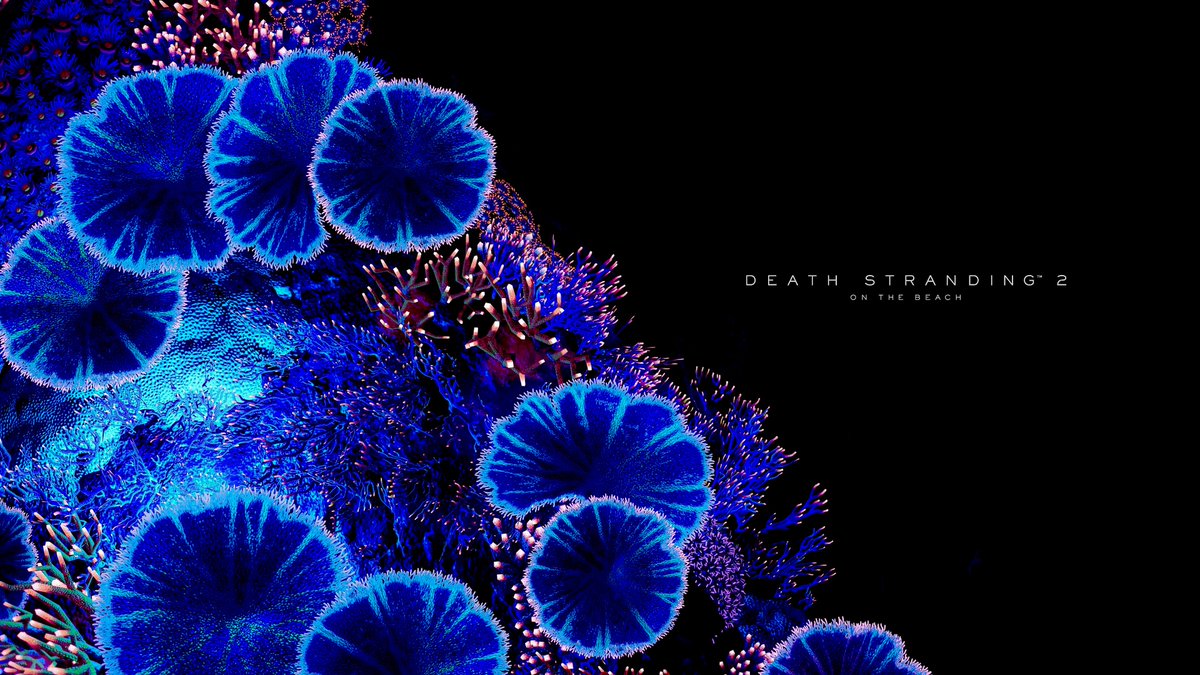 mmtookthis's tweet image. #DeathStranding2
#DeathStranding2OnTheBeach 
.
.