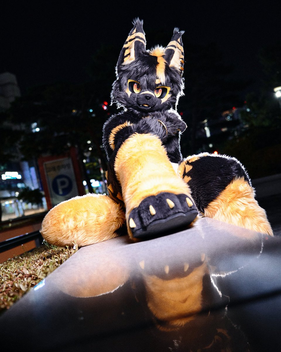 #Fursuitfriday
#fursuit 

✨✨✨✨✨✨✨

📸<a href="/guni1636/">그니 GUNI</a>
