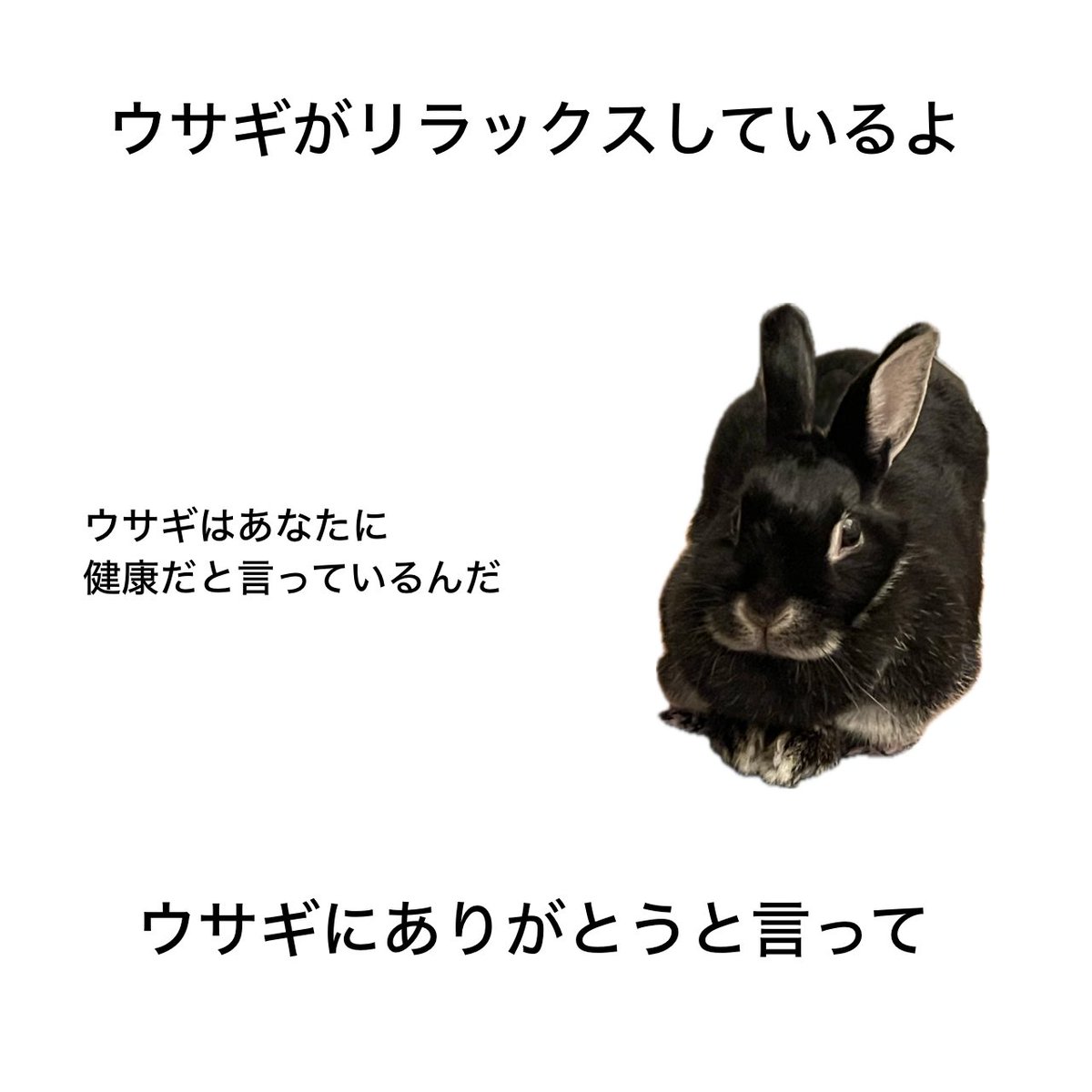 studio__rex's tweet image. ゲイリーパロ
