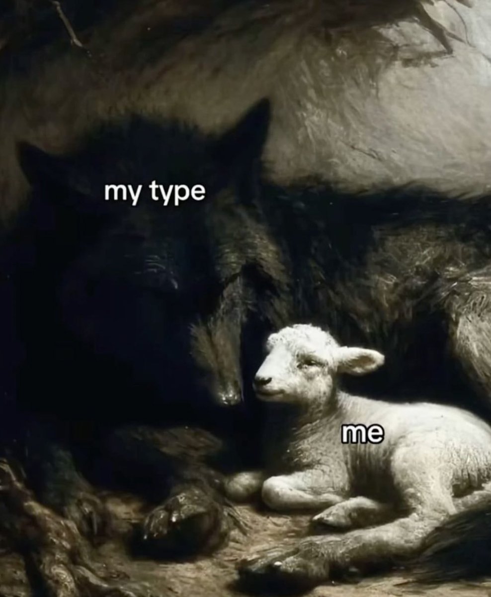 Me & Who? (@tagyourwho) on Twitter photo 