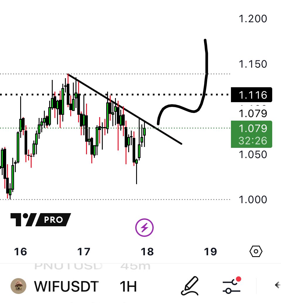 RAFAELA_RIGO_'s tweet image. .
$WIF
.