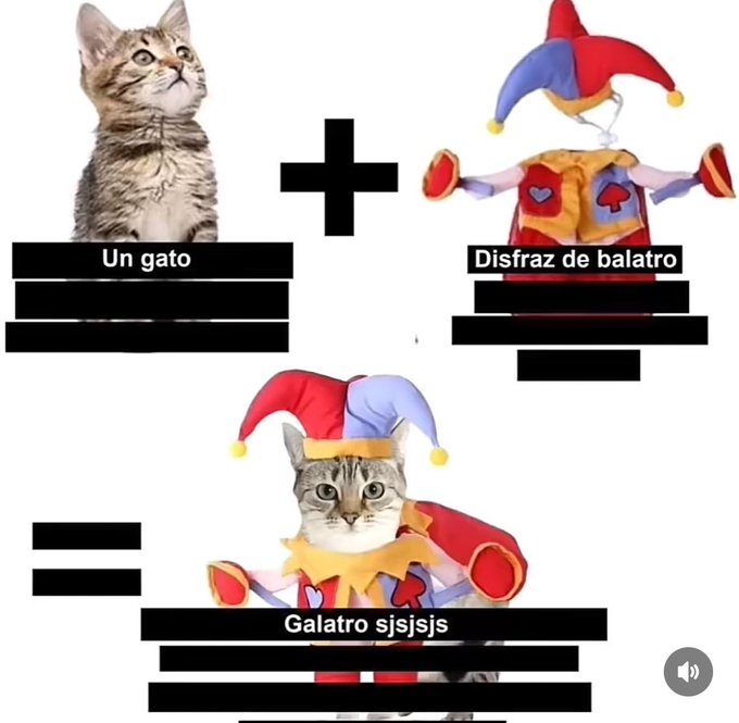 chincheto pirata somali (@wikipistacho) on Twitter photo 