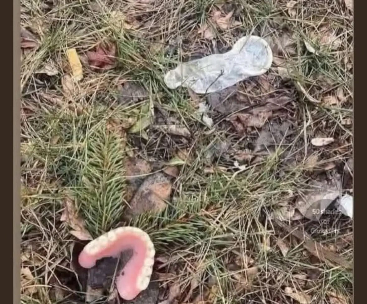 EddieinSanDiego's tweet image. Breaking : First photos just released. The WSJ article shows the aftermath from #Trump's visit to Epstein Island.
#TrumpPedoFiles
#EpsteinTrumpCoverUp
Wall Street Journal will crush the trump-epstein lies perpetrated by the current administration #GOP #Republicans #MAGA #FAFO