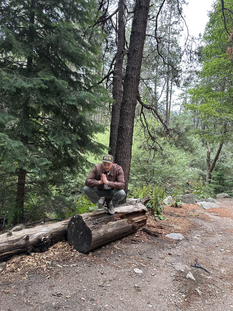 Tylerbear tweet media