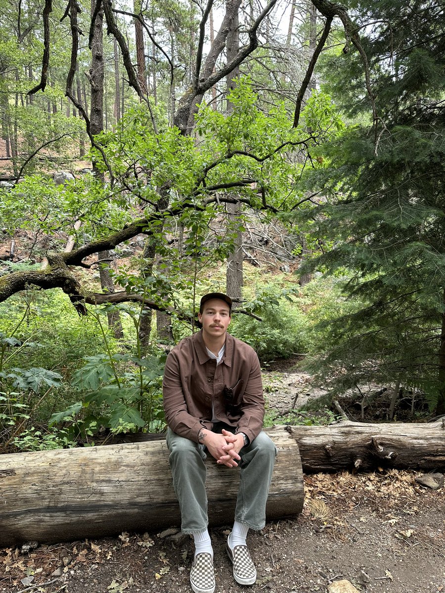 Tylerbear tweet media