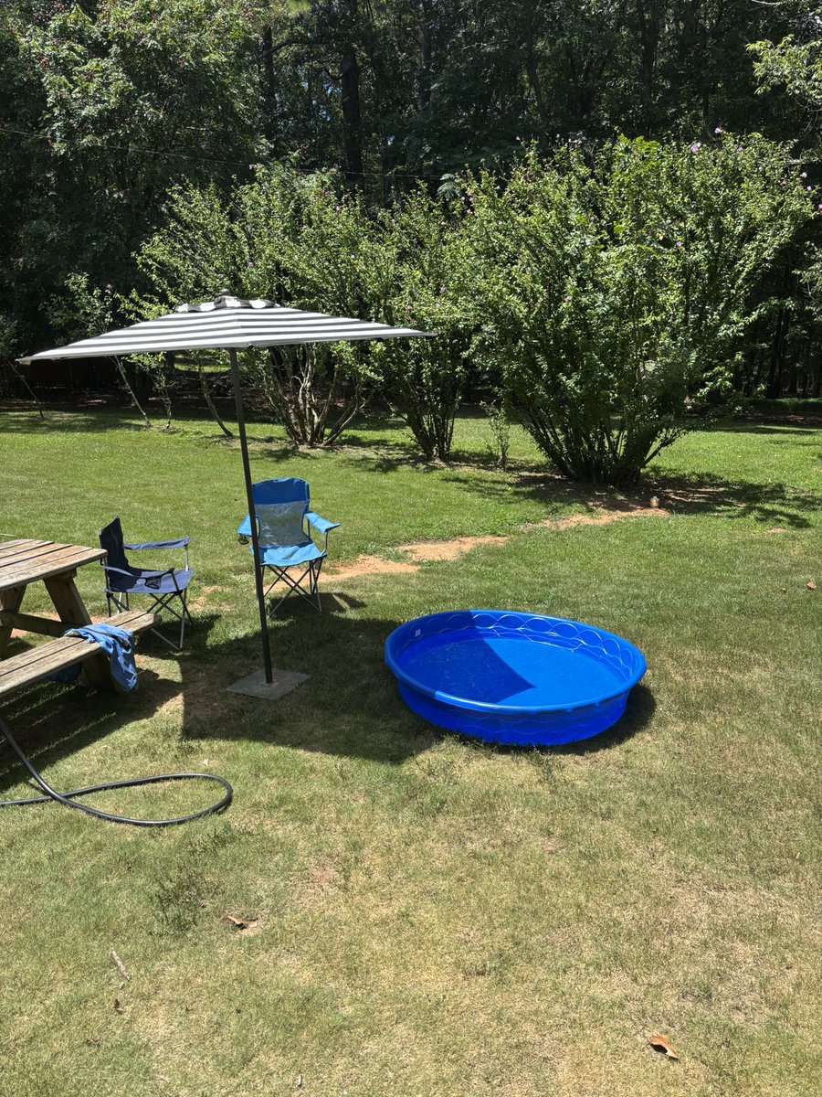 scottastronaut's tweet image. Even when times are tough. You can still put a pool in the backyard.